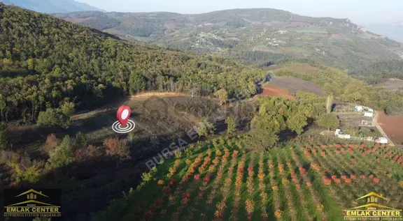 Kestel Aksuda 1745 M2 Tarla 1