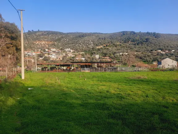 Bodrum Muğla Yolu Uzerı Savran Köyünde 3100m² Köy İçi Tarla 2
