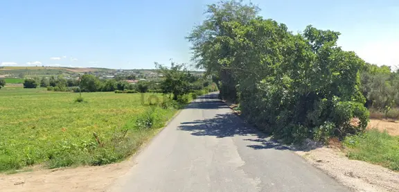 Aksakal Mah. Yol Üstünde Satılık Bağ 2