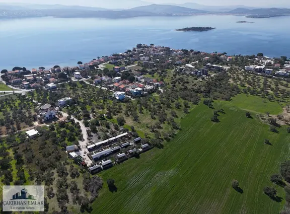 Denize, Göle Ve İmara Yakın Marina Bölgesi Satılık Zeytinlik 2