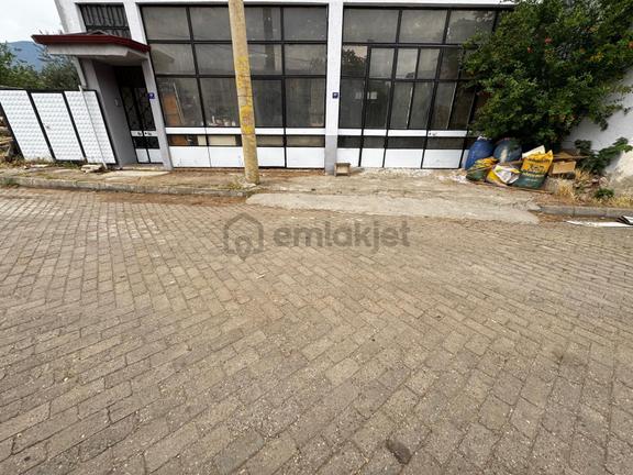 Aydın Karacasu'da Merkezde Satılık Kiracılı İş Yeri 1
