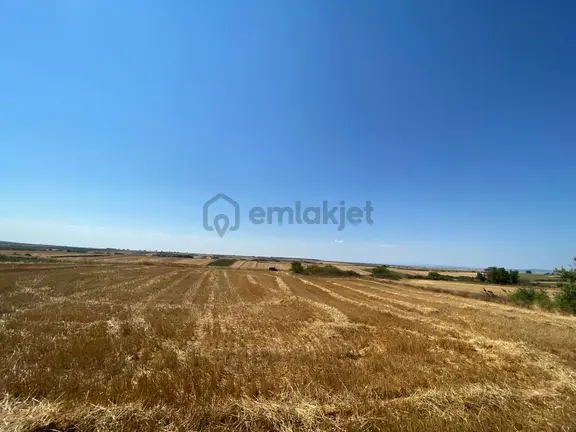 Tekirdağ Saray Kurtdere Mahallesinde Sahibinden Hisseli Tarla Tüm Parseller 1