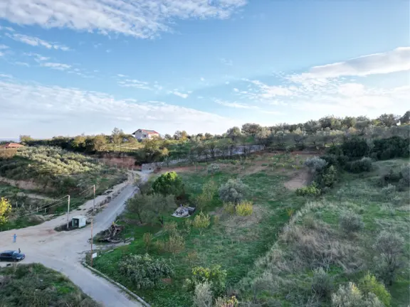 Beyaz Gayrimenkulden Karaoğlanlı Mh Fırsat 2.500 M2 Tarla 1