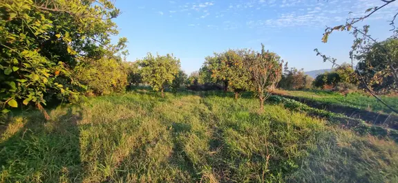 Tombul Emlaktan Aslanlı Mahallesinde Satılık Hobi Bahçesi 1