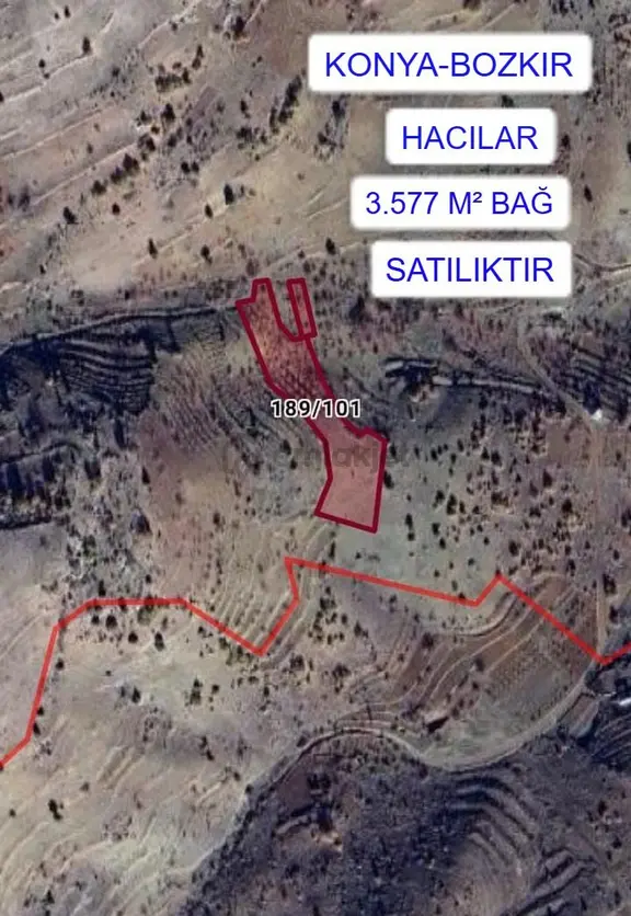 Konya Bozkır Hacılar'da 3.577 M² Bağ Satılıktır. 1