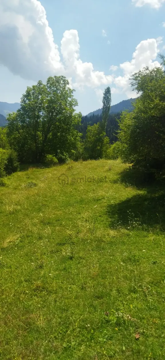 Şavşat Armutlu Mah.satılık Tarla 2
