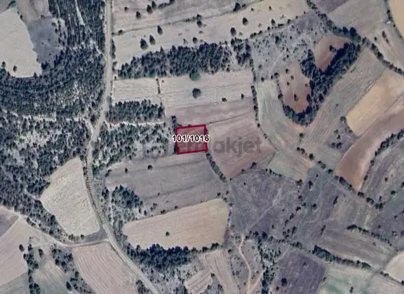 Kütahya Emet Uzunçam Köyünde 1.713 M² Tarla Satılıktır 1
