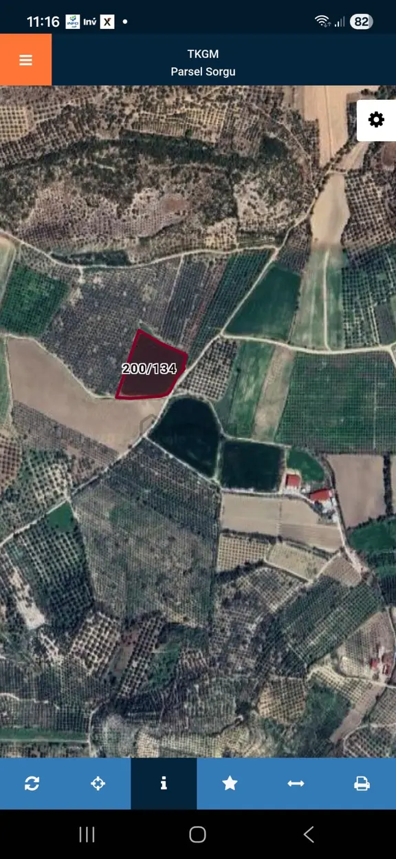Aydın Balat Kadastro Yolu Olan Satılık Fırsat Tarla 2