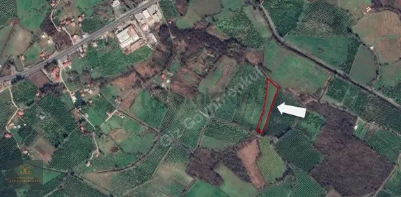 Köyceğiz Döğüşbelen Mh. De Satılık 6980m2 Tarla 1