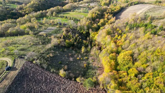 Yalova Altınova Sermayecik 2.900 M2 Satılık Tarla 2