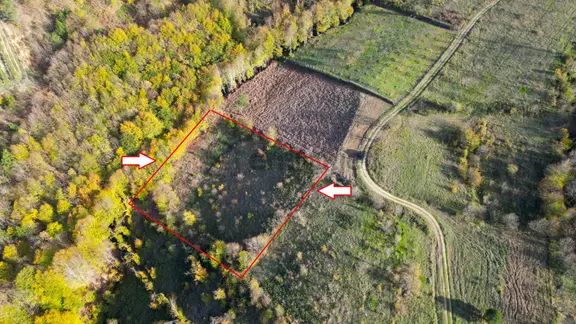Yalova Altınova Sermayecik 2.900 M2 Satılık Tarla 1