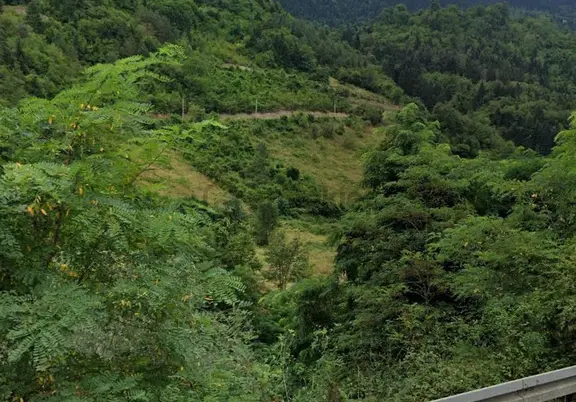 Trabzon Maçka Esiroğlu Mahallesi Satılık Arazi 2