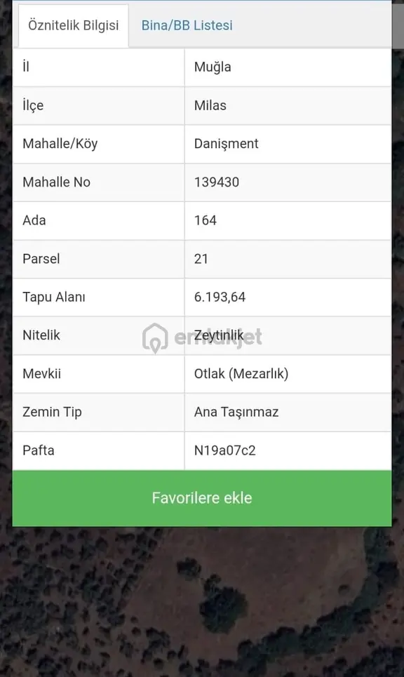 Muğla Milas Danışment'de Satılık Verimli Zeytinlik Tarla 1