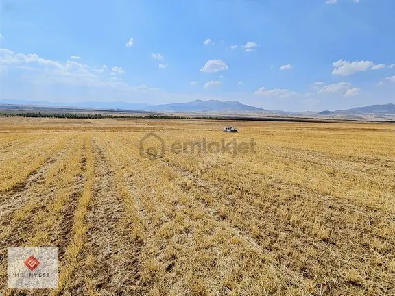 7456 M2 Tek Tapu Kemer Yakalar'da Yatırımlık Tarla 1