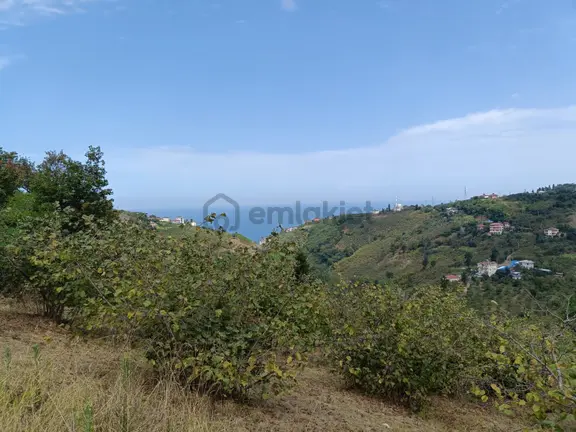 Uğurlu Da 2 Dönüm Yolu Açılmış Deniz Manzaralı Arazi 2
