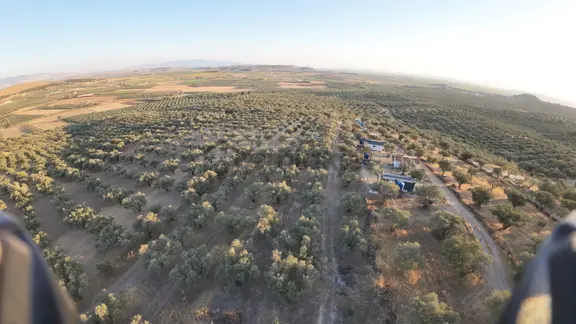 Gerenköyde Kadast. Yola Cepheli 70-80 Ağaçlı Satılık Zeytinli Tarla 2