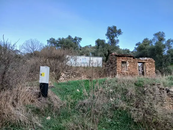 Milas Hacıahmetler Köyü'nde Kargir Ev Ve Zeytinlik 2