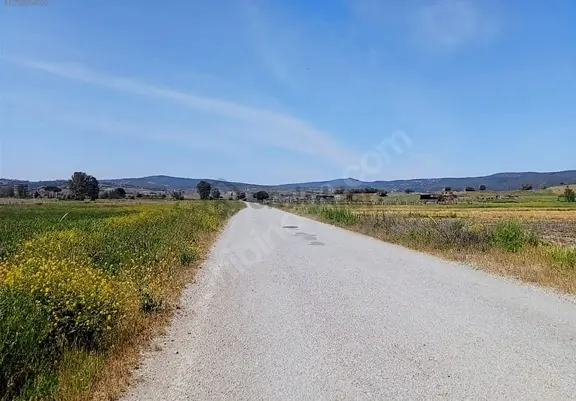Golden Globy, Balıkesir Karesi Kocaavşar'da Satılık 3,5 Dönüm Düz Ve Verimli Tarla 1