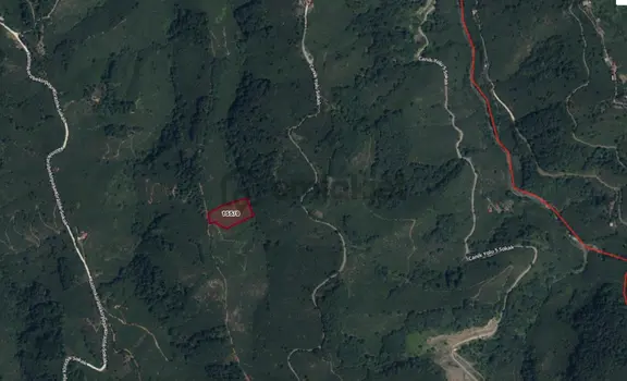 Truva'dan Terme'de Satılık 7850m2 Fırsat Yola Cephe Fındıklık 2