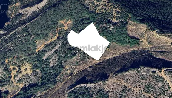 Gazipaşa Öznurtepe Köyünde Satılık 27 Dönüm Tarla – Takasa Uygun, Yolu Ve Temizliği Hazır 2