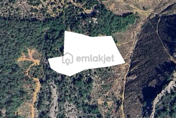 Gazipaşa Öznurtepe Köyünde Satılık 27 Dönüm Tarla – Takasa Uygun, Yolu Ve Temizliği Hazır 1