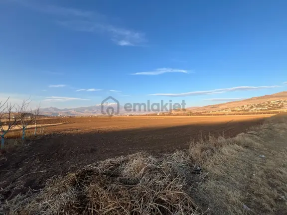 Öz Gaye Emlaktan Develi Tombak Mahallesinde Satılık Tarla 1