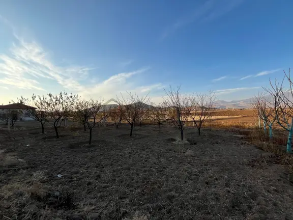 Öz Gaye Emlaktan Develi Tombak Mahallesinde Satılık Tarla 2