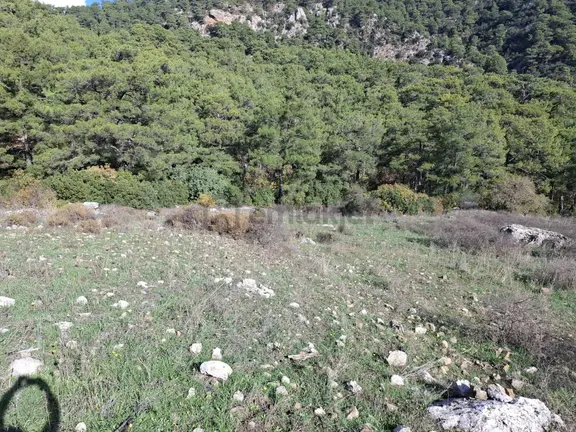 Klas Emlak'tan Kumluca Yeşilköy'de 10 Dönüm Satılık Arazi 1
