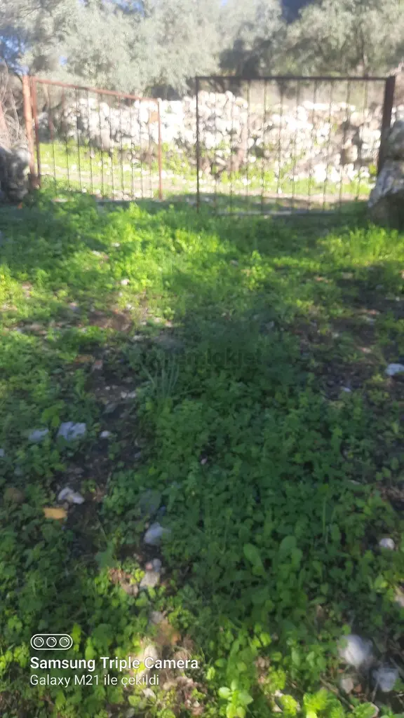 Ortaca Güzelyurt'da Satılık Tarla 2