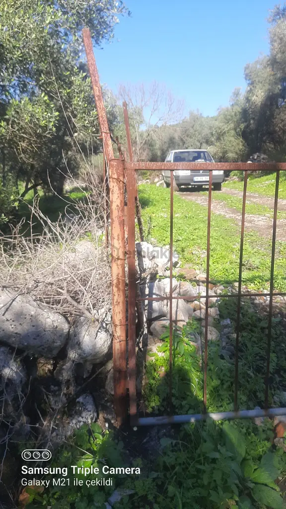 Ortaca Güzelyurt'da Satılık Tarla 1