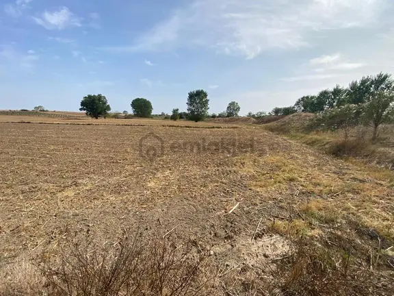Lüleburgaz Çiftlikköy'de Asfalta 50m Yakın Yatırımlık Arazi 1