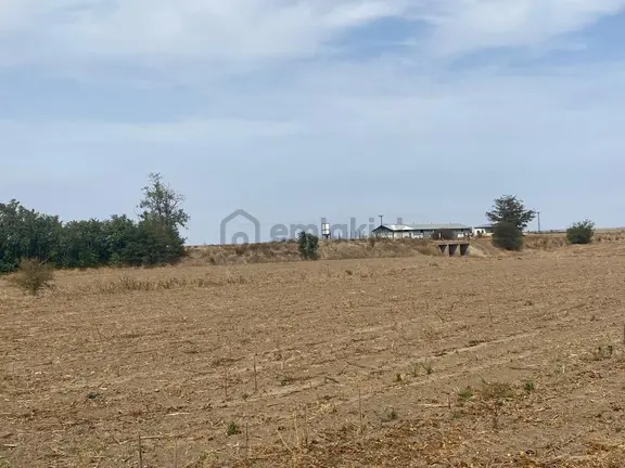 Lüleburgaz Çiftlikköy'de Asfalta 50m Yakın Yatırımlık Arazi 2