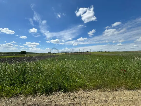 Silivri Seymen'de Kadastro Yolu Mevcut Yeri Belli Arazi 2