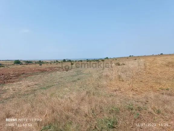 Saray Çukuryurtta Müstakil Tapulu Mera Cepheli Tarla 2