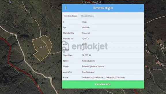 Delta Gayrimenkul'den Ordu Şenocak Köyünde Fındık Bahçesi.. 2
