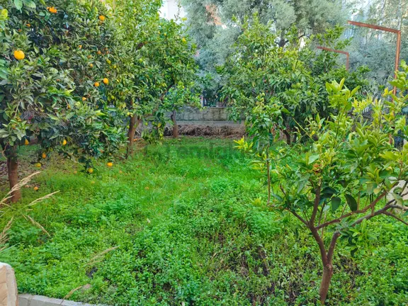 Akdeniz Emlakta Akarca Mh Satılık Müstakil Villa 2