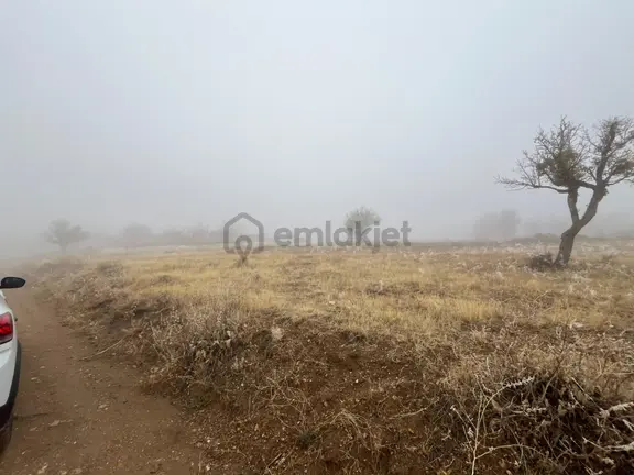 Öz Gaye Emlaktan Develi Tombak Bekçitepesi Mevkinde Satılık Arazi 2