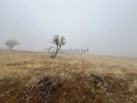 Öz Gaye Emlaktan Develi Tombak Bekçitepesi Mevkinde Satılık Arazi 1