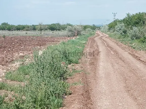 Acilihtiyaçtan Akçadağ Dedeköyde Sulama Kanlının Yanında Satılık 18 Dönüm Sulu Tarla-bahçe 2