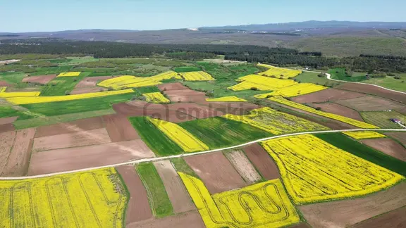 Kırklareli Vize Çakıllıda 4 Dönüm Tek Tapu Kelepir Fiyatlı 2