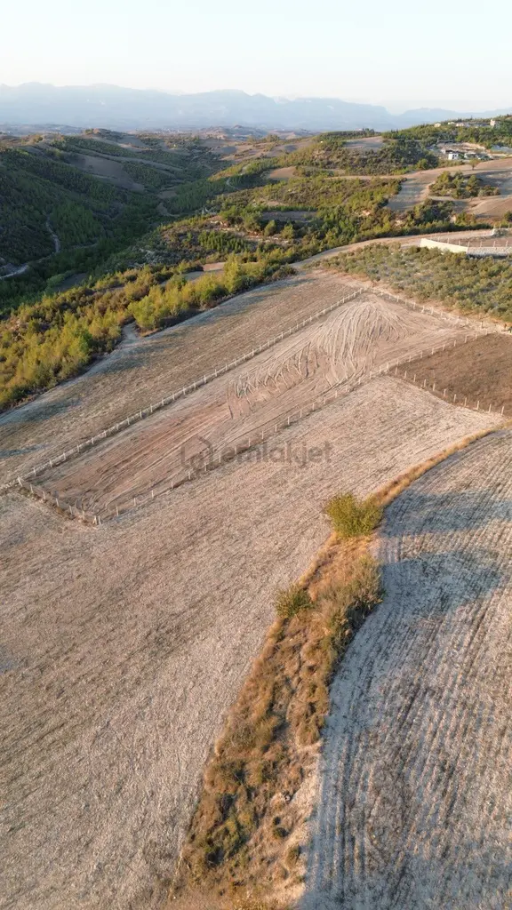 Acil Sahibinden Satılık 2