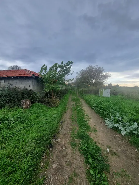 Premar Ayvada'dan Burhaniye Kızıklı Mahallesinde 15944 M2 2