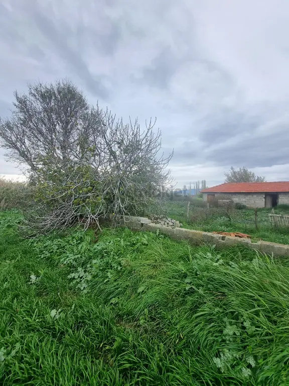 Premar Ayvada'dan Burhaniye Kızıklı Mahallesinde 15944 M2 1