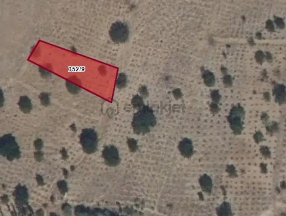 Doğanlarla / Yeni Mahalle De 352/9 1