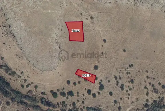 Doğanlarla / Yeni Mahalle De 352 2 1