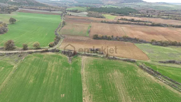 Ege Emlak'tan Karlı Köy'de 10.604 M2 Satılık Tarla 2