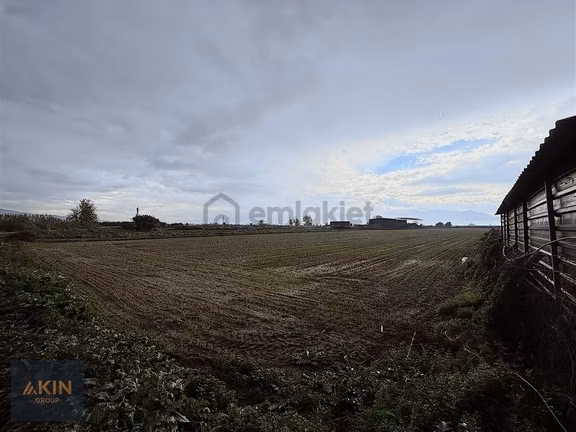 Bayındır Furunlu Satılık Yol Kenarı Tarla 2