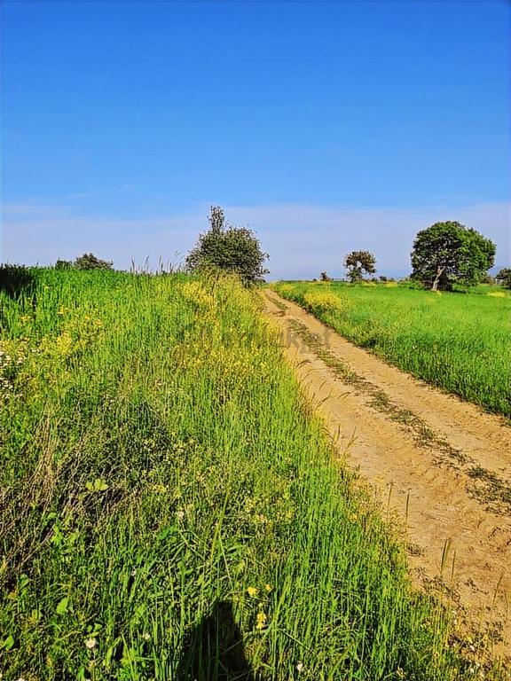 Biga Gündoğdu'da 45 Metre Yola Cephe Yatırımlık Tarla 1