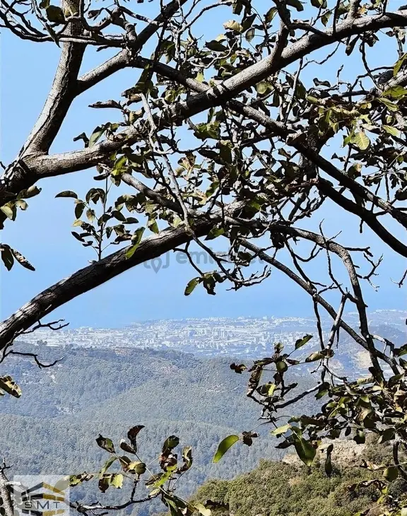 Alanya Mahmutseydi Mahallesi Satılık Deniz Manzaralı Tarla 1