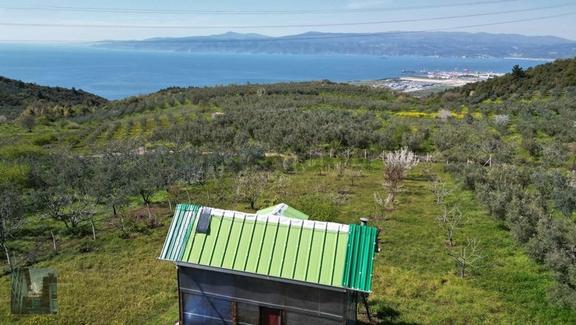 Gemlik Kurtul'da Deniz Manzaralı Bağ Evi Ve Meyve Bahçesi 1